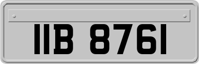 IIB8761