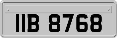 IIB8768