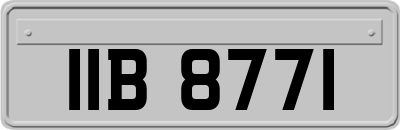 IIB8771