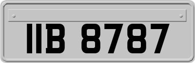 IIB8787
