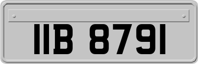 IIB8791