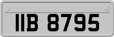 IIB8795