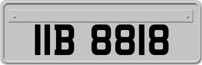 IIB8818
