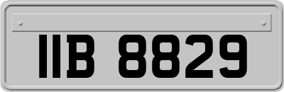 IIB8829