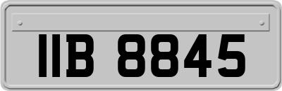 IIB8845