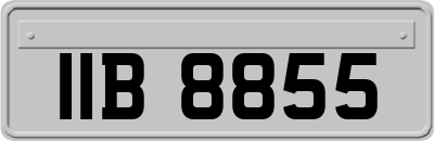 IIB8855