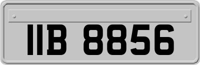 IIB8856