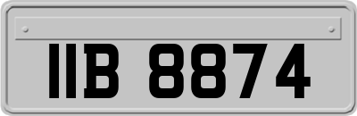 IIB8874