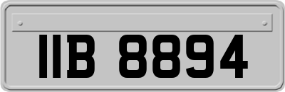 IIB8894