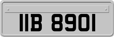 IIB8901