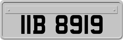IIB8919