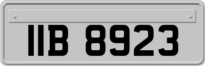 IIB8923