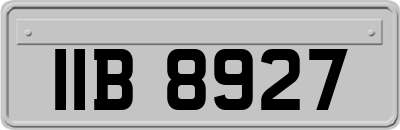 IIB8927