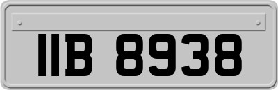 IIB8938