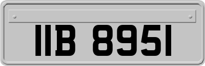 IIB8951