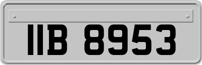 IIB8953