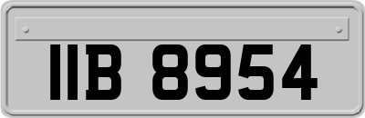 IIB8954