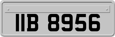 IIB8956