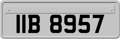 IIB8957