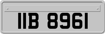 IIB8961