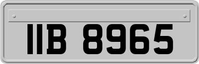 IIB8965