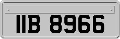 IIB8966