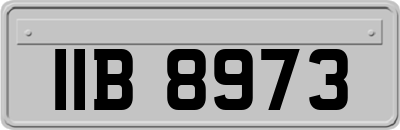 IIB8973