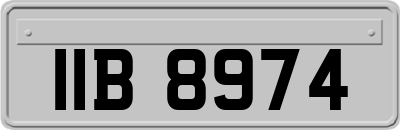 IIB8974