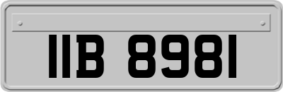 IIB8981