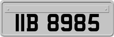 IIB8985