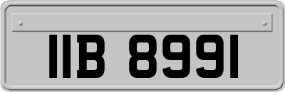 IIB8991