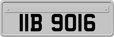 IIB9016