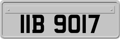 IIB9017