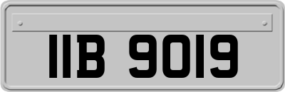 IIB9019