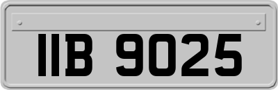 IIB9025