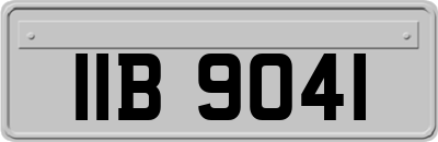 IIB9041
