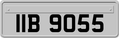 IIB9055
