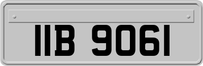 IIB9061