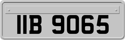 IIB9065