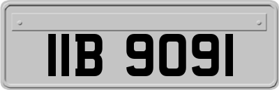 IIB9091