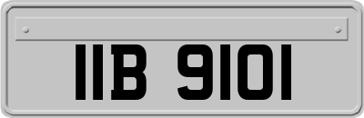 IIB9101