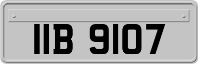 IIB9107