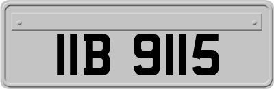 IIB9115