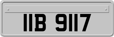 IIB9117