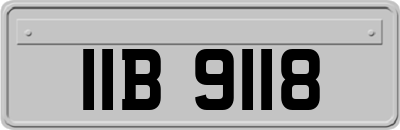 IIB9118