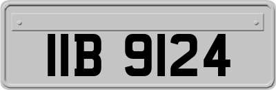 IIB9124