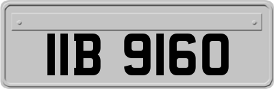 IIB9160