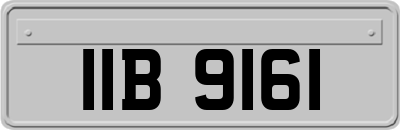 IIB9161