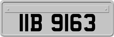 IIB9163