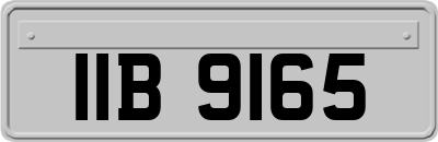 IIB9165